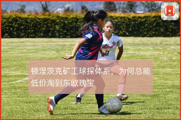 顿涅茨克矿工球探体系，为何总能低价淘到东欧瑰宝