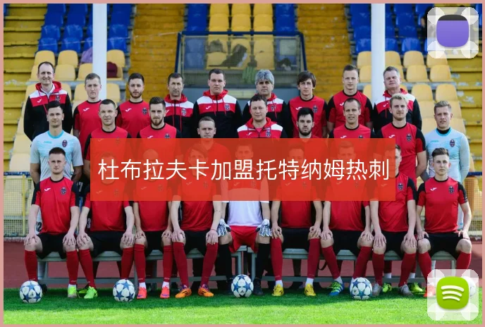 杜布拉夫卡加盟托特纳姆热刺