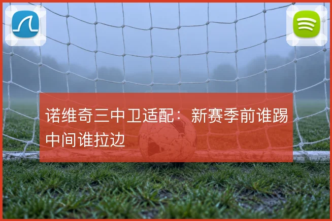 诺维奇三中卫适配:新赛季前谁踢中间谁拉边