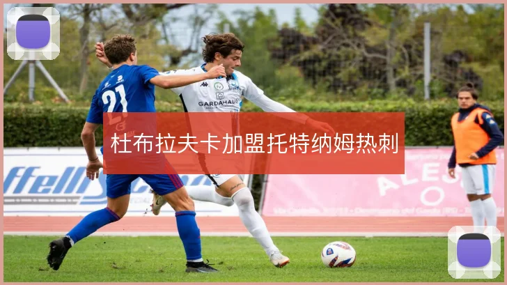 杜布拉夫卡加盟托特纳姆热刺